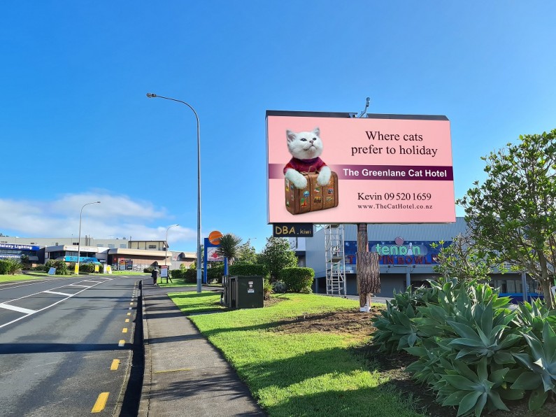Digital Signs Hoyts Wairau With Cat Hotel